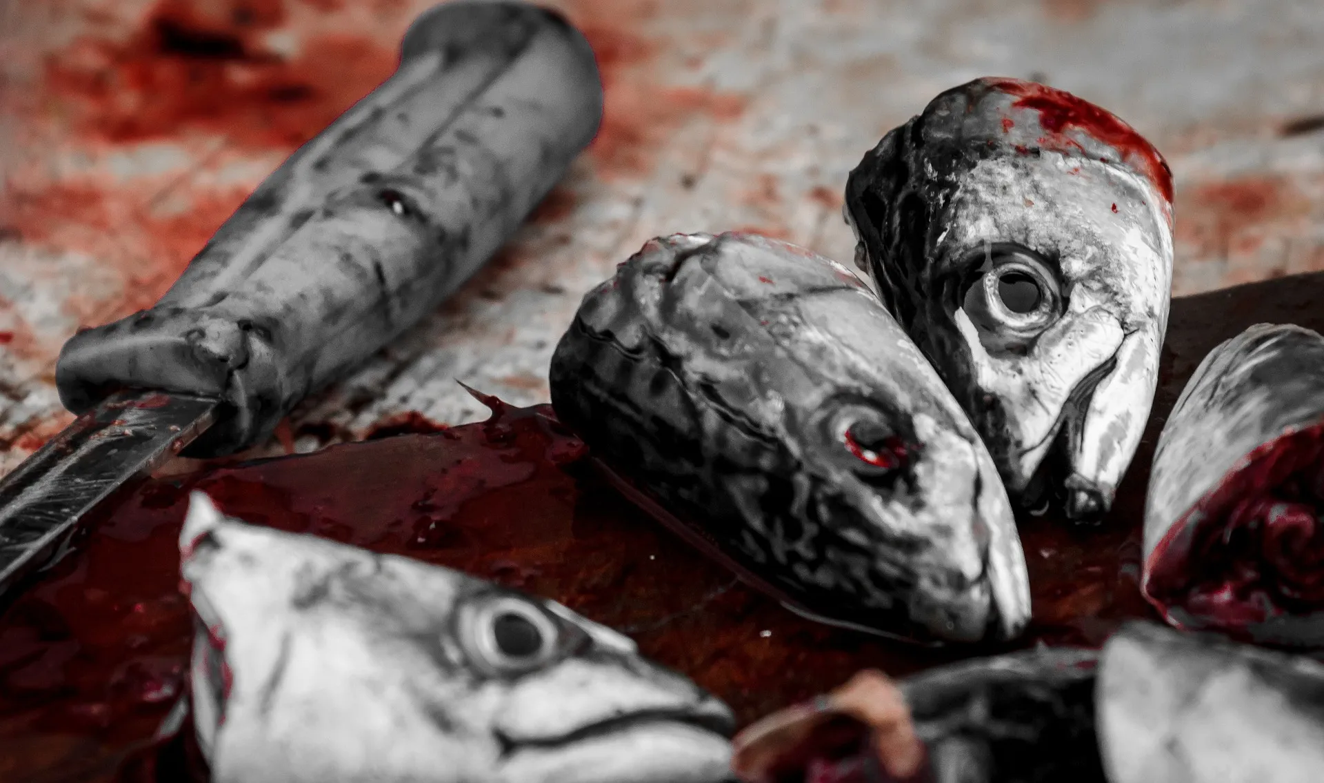 Dead Fish heads under knife - Global Harmful fisheries subsidies