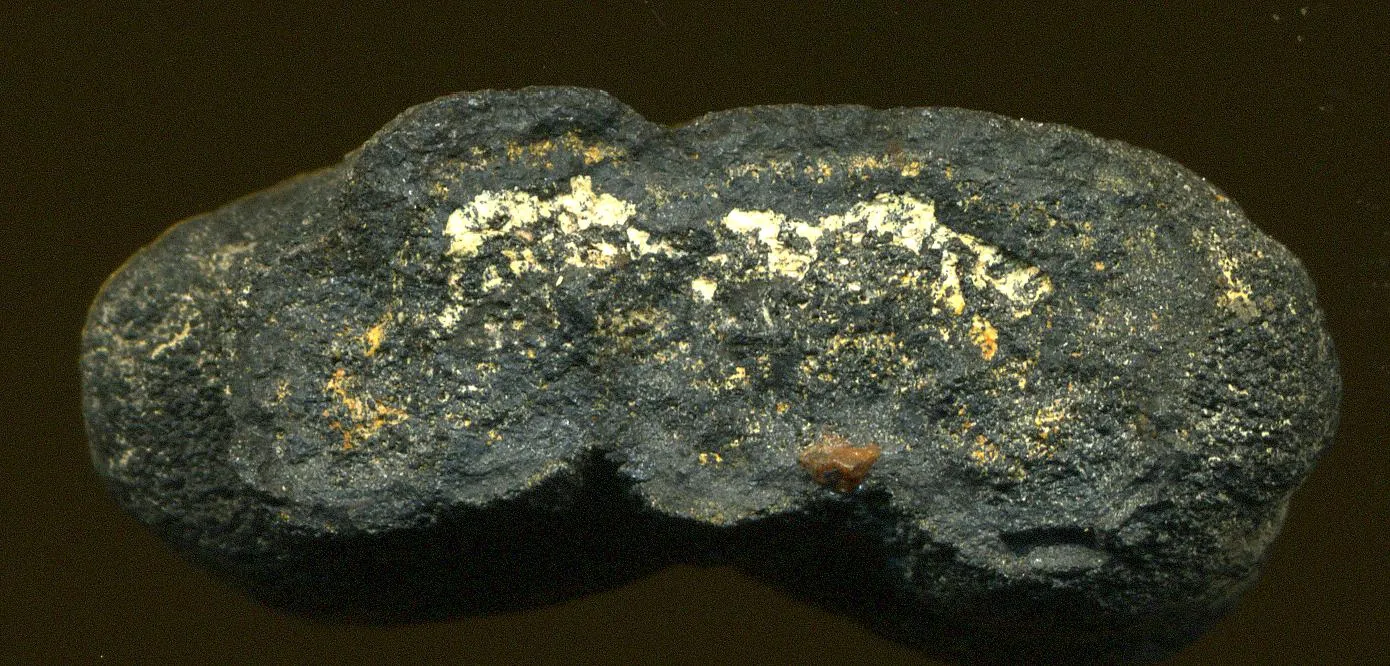 Pelagite (deep seafloor manganese nodule) from the Pacific Ocean seafloor. (8-9 mm thick) Some portions of the deepest seafloors of the world have common to abundant, dark-colored, manganese-rich nodules. These are called pelagites. They were first discovered in the 1860s in the Kara Sea. They are composed of various Mn, Fe, Cu, Ni, and Co minerals. Some materials commonly identified in these nodules include todorokite ((Mn,Ca,Mg)Mn3O7·H2O), birnessite (~Na4Mn14O27·9H2O), amorphous hydrous Fe-hydroxyoxides,