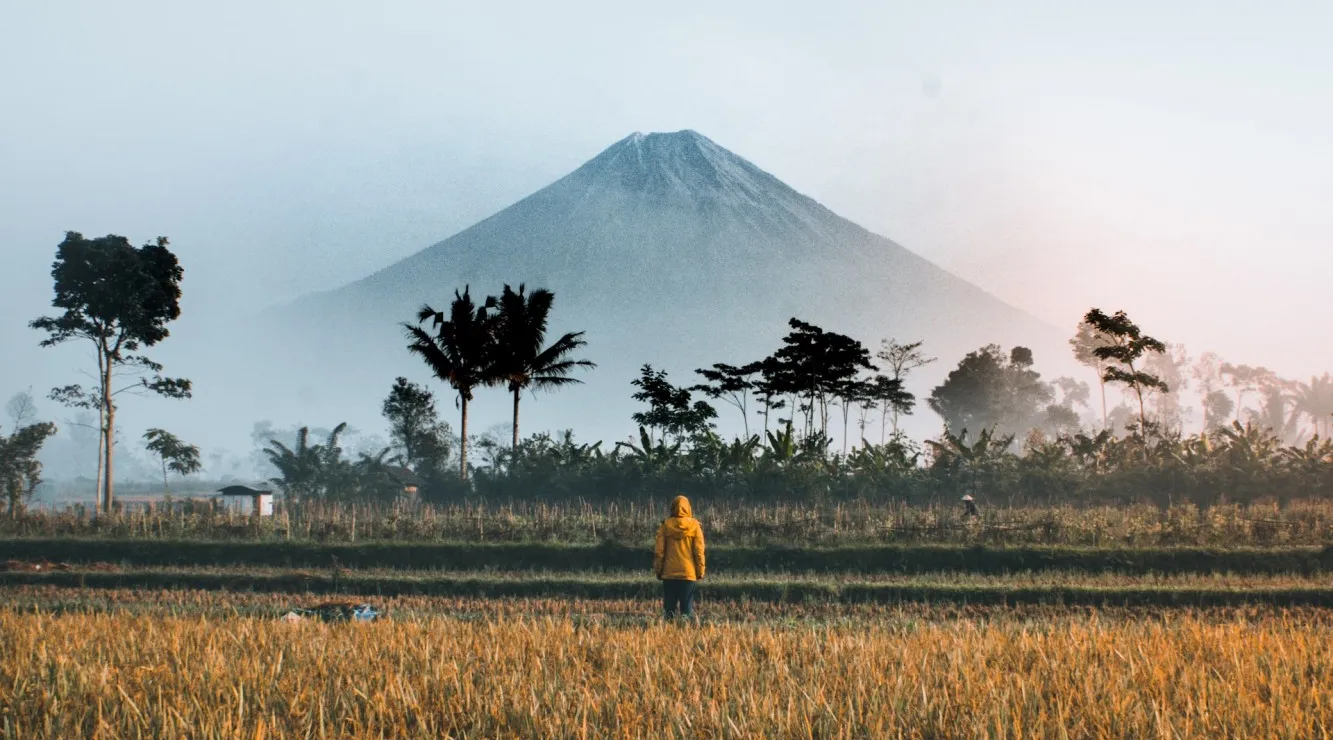 Indonesia’s Relations With
China in the Age of COVID-19
Truston Jianheng Yu and Enze Han