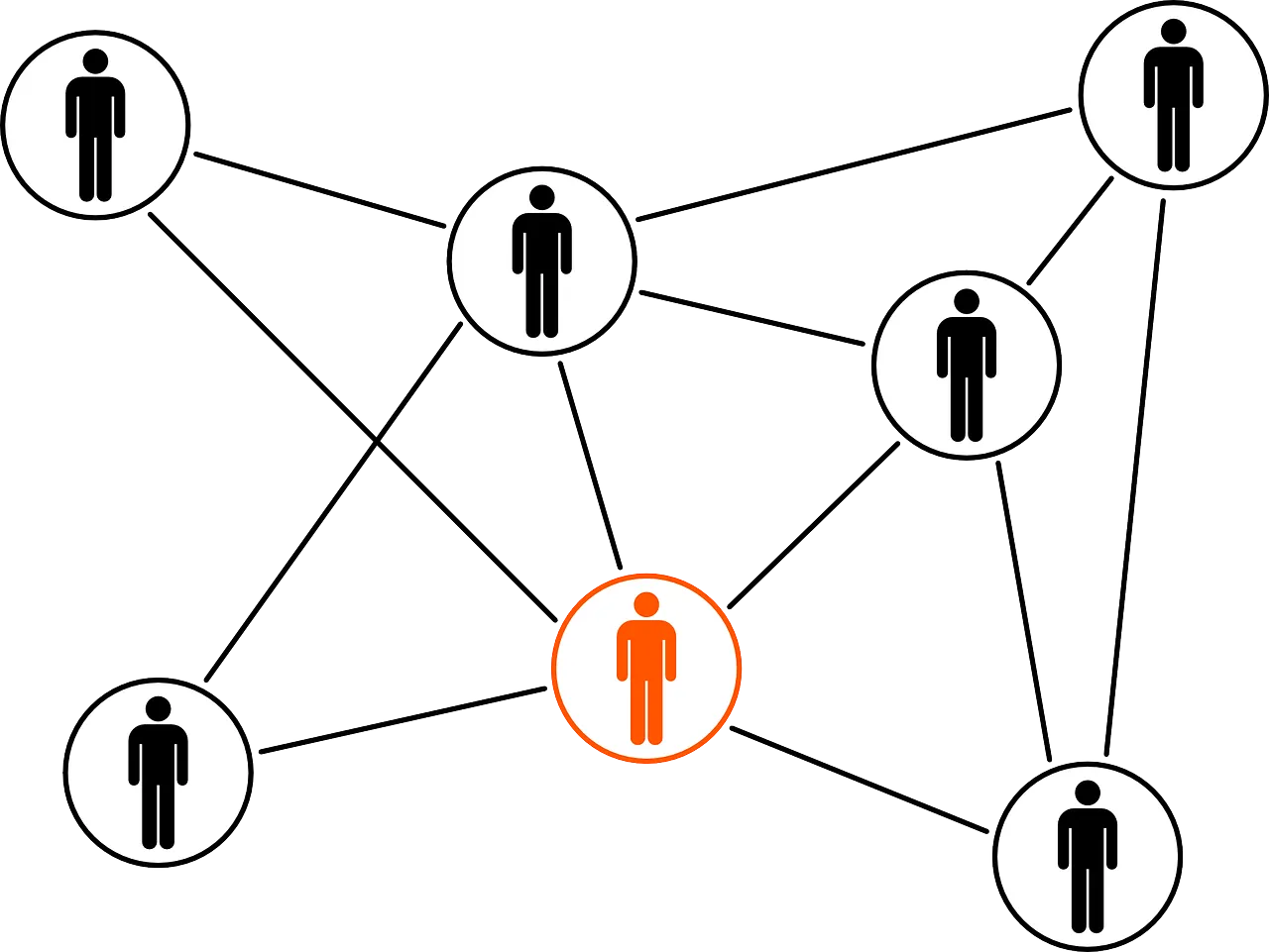 Network Linked Web