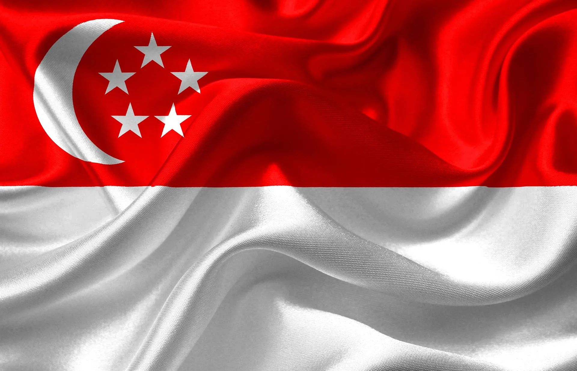 Singapore Flag Singaporean