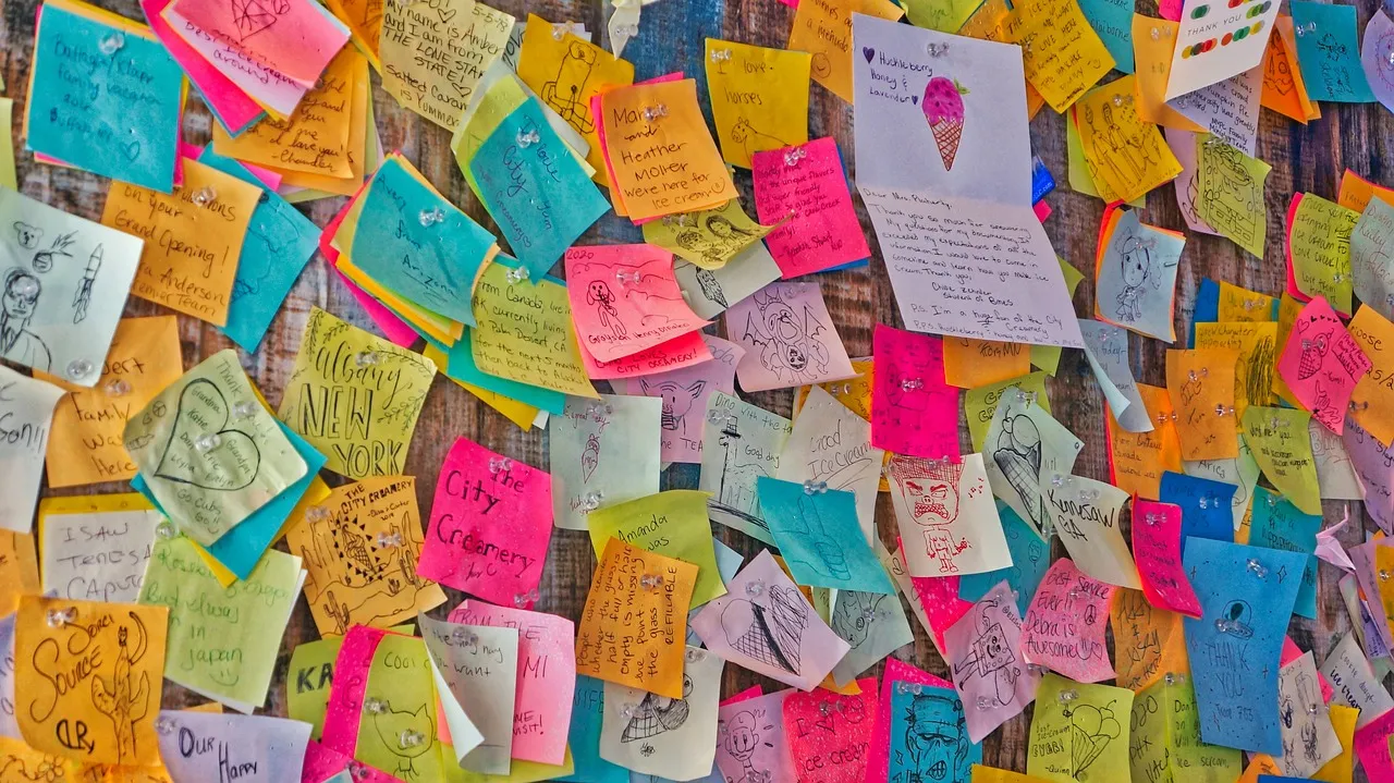 USA Public Opinon Sticky Notes Wall Colorful